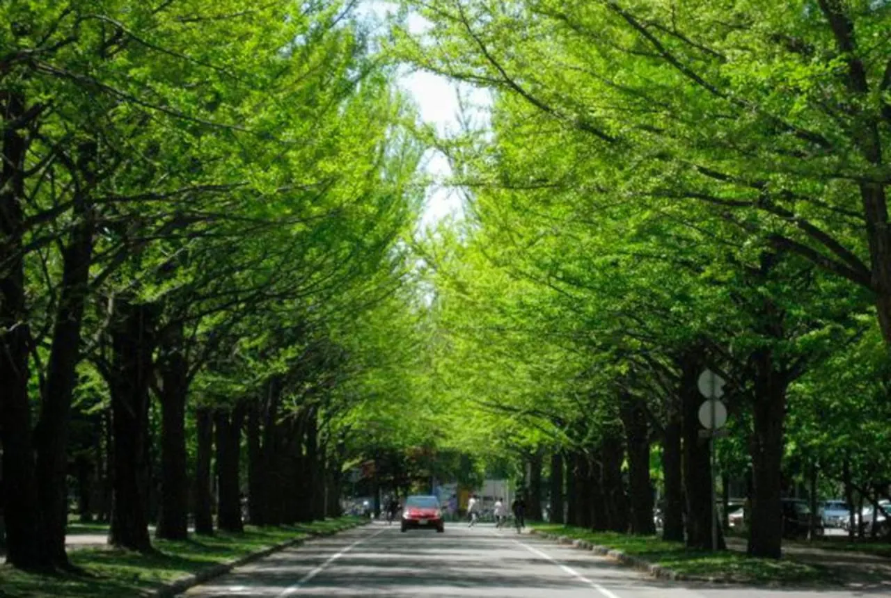 Hotel Sapporo Met\'S location